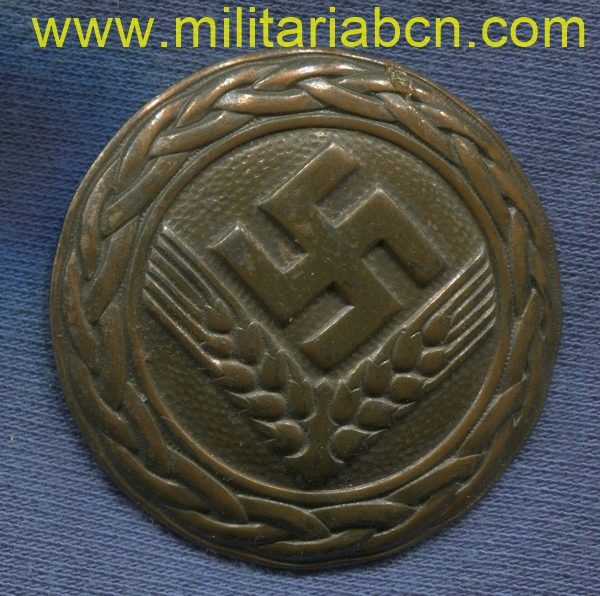 Germany III Reich. RAD Women's badge. Reichsarbeitsdienst. RADwJ. Marked Assmann & Söhne. Without pin. German award second world war. 