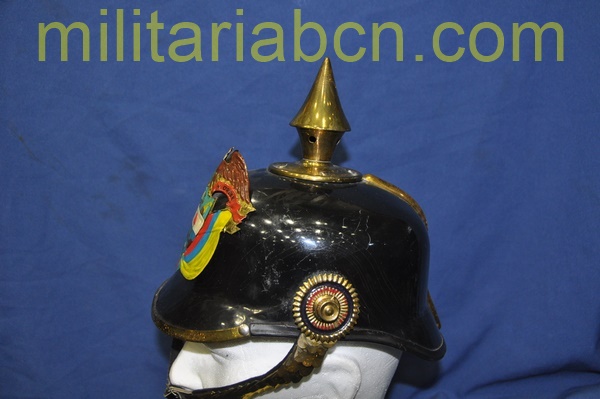 Presidential Guard Helmet