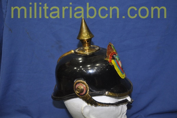 Presidential Guard Helmet