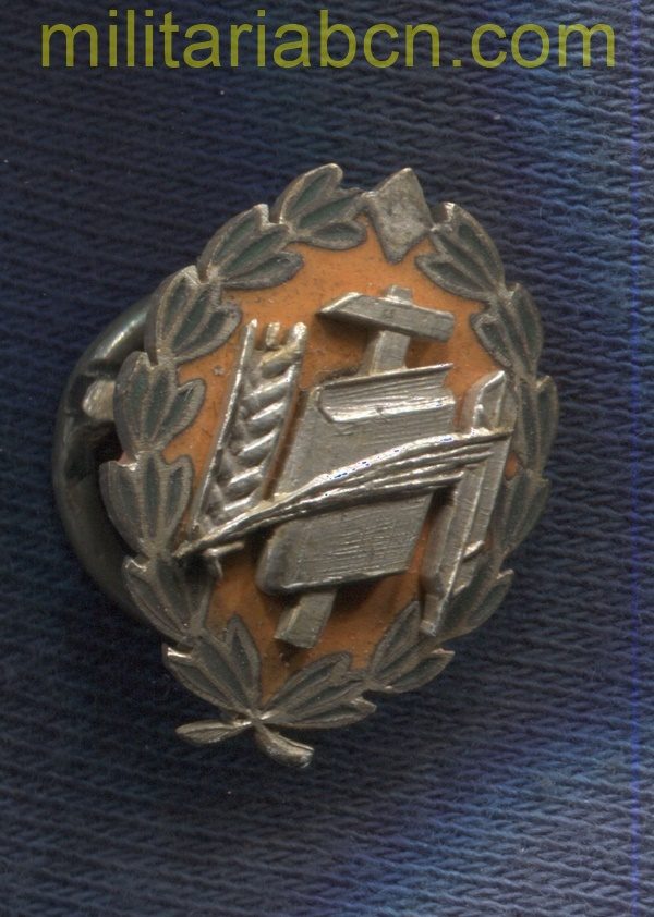 Medalla de plata del Sindicato Nacional de Enseñanza. CNS.. Época Franco. Miniatura.