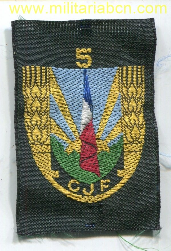 France. Badge Chantiers de la Jeunesse. Vichy Government