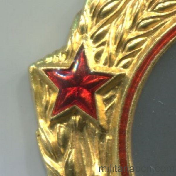 Militaria Barcelona ussr soviet union order of lenin red star