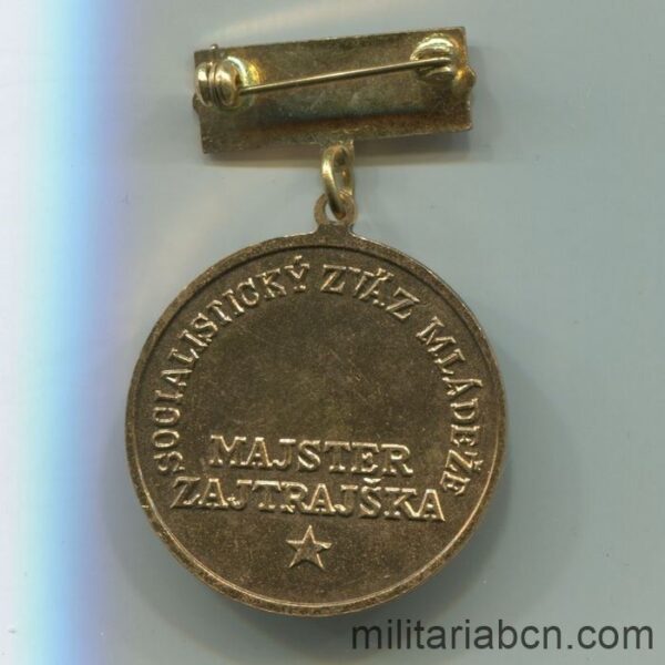 Czechoslovak Socialist Republic. Medal of the Zenit SZM Union of Socialist Youth. Teacher of Future. reverse