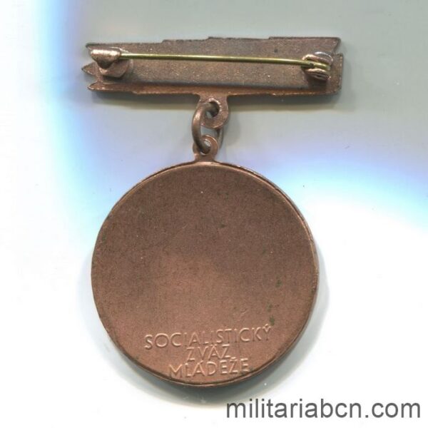 Czechoslovak Socialist Republic. Medal for socialist education. Bronze version. reverse