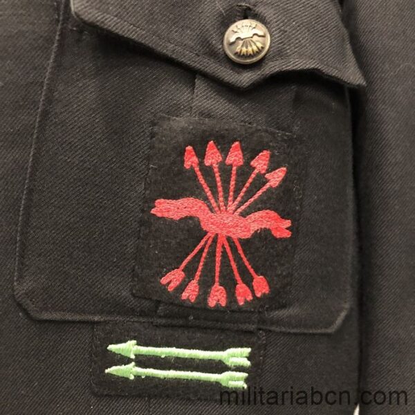 Guerrera y pantalón de la Falange o Movimiento, con dos flechas verdes. Subjefe de Falange. distintivo
