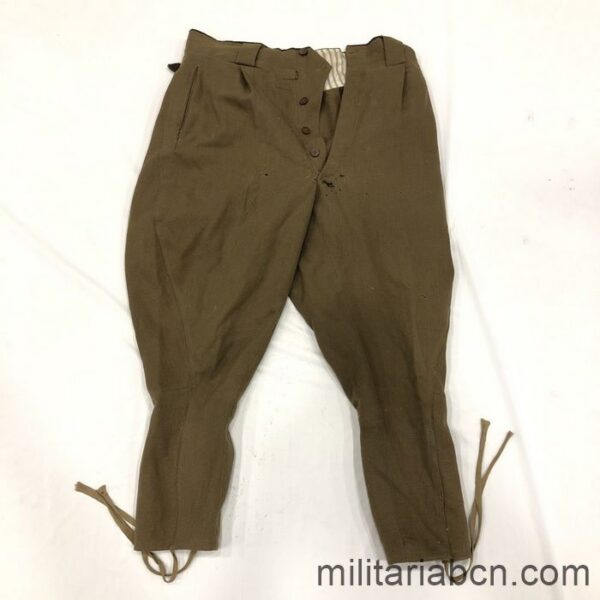 Pantalones de Montar de la Guerra Civil Española. Modelo por el Ejército Nacional y el Ejército Popular. 37 cm de cintura