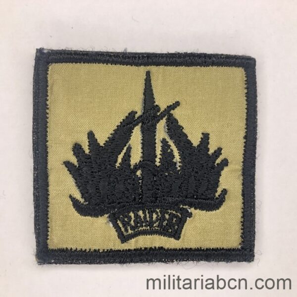 Indonesia. Paratroopers Raider Patch. Sand background. M1.