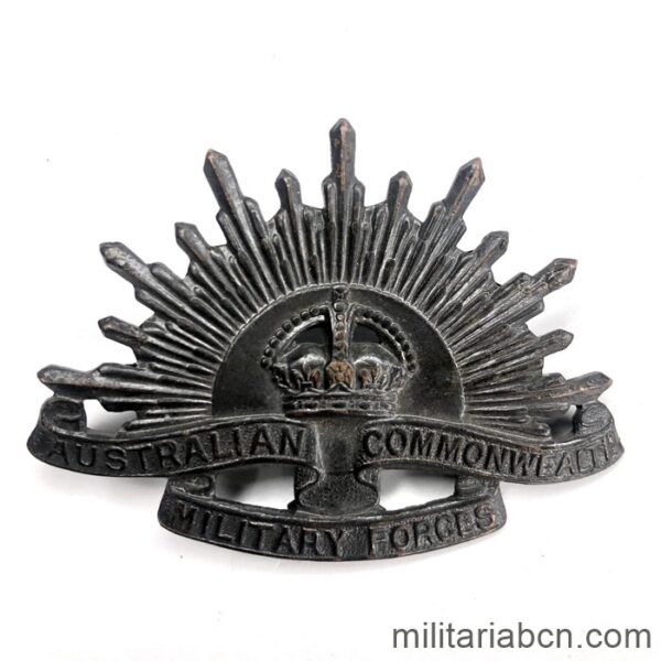 Australian Army General Service Badge, better known as The Rising Sun badge.