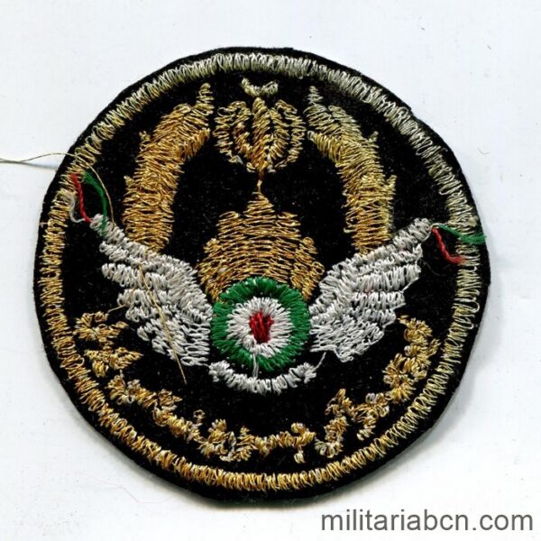 Irán. Parche del Ejército del Aire del Artesh o Ejército de la República Islámica del Irán. Insignia militar iraní.