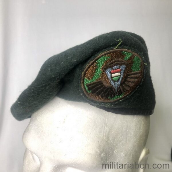 Hungary. Paratroopers green beret