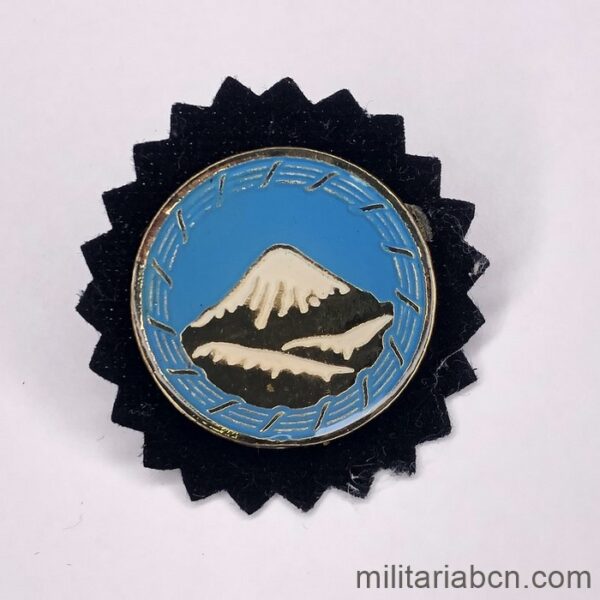 Islamic Republic of Iran. Badge of the Mountain Troops of the Artesh. Metal. N1