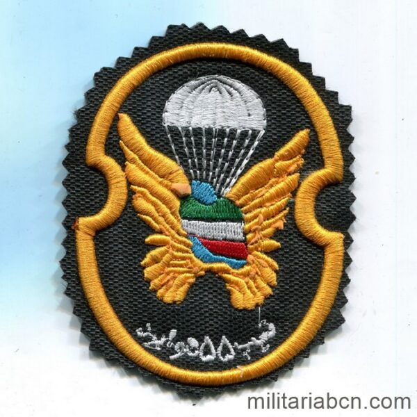 Islamic Republic of Iran. Arm patch of Paratroopers of the Artesh or Army. N7