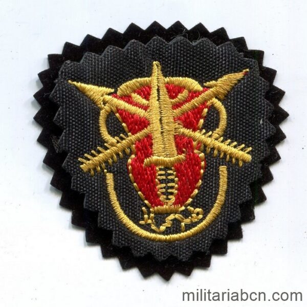 Islamic Republic of Iran. Army Special Forces Beret Patch, Artesh. Purchased in Tehran.