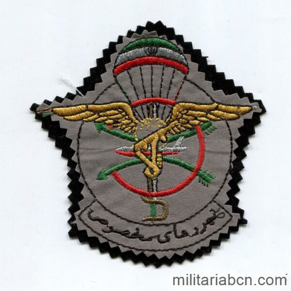 Islamic Republic of Iran. Arm patch of Paratroopers of the Artesh or Army. N3