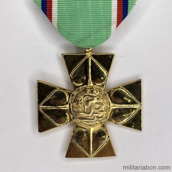 Cross of Merit of the Ministry of Defense of the Czech Republic. 1st Class.