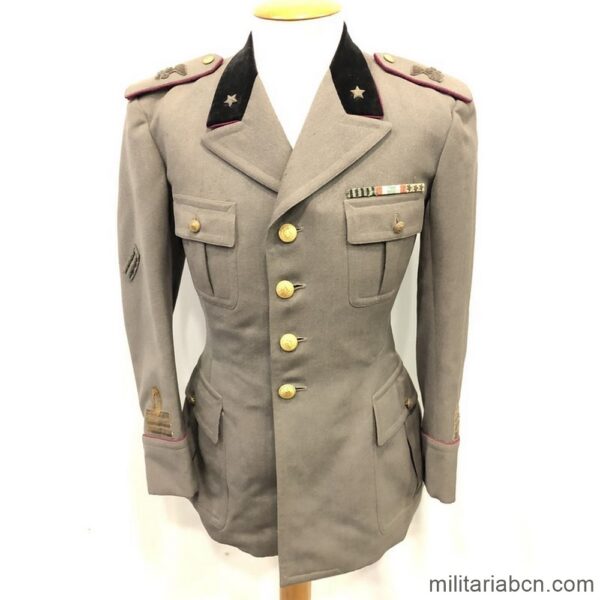 Italy. Captain of Engineers jacket. Model 34. Used in World War II